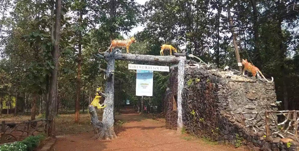 Madei Wildlife Sanctuary, North Goa, Goa - Vushii.com Madei Wildlife Sanctuary, North Goa, Goa - Vushii.com